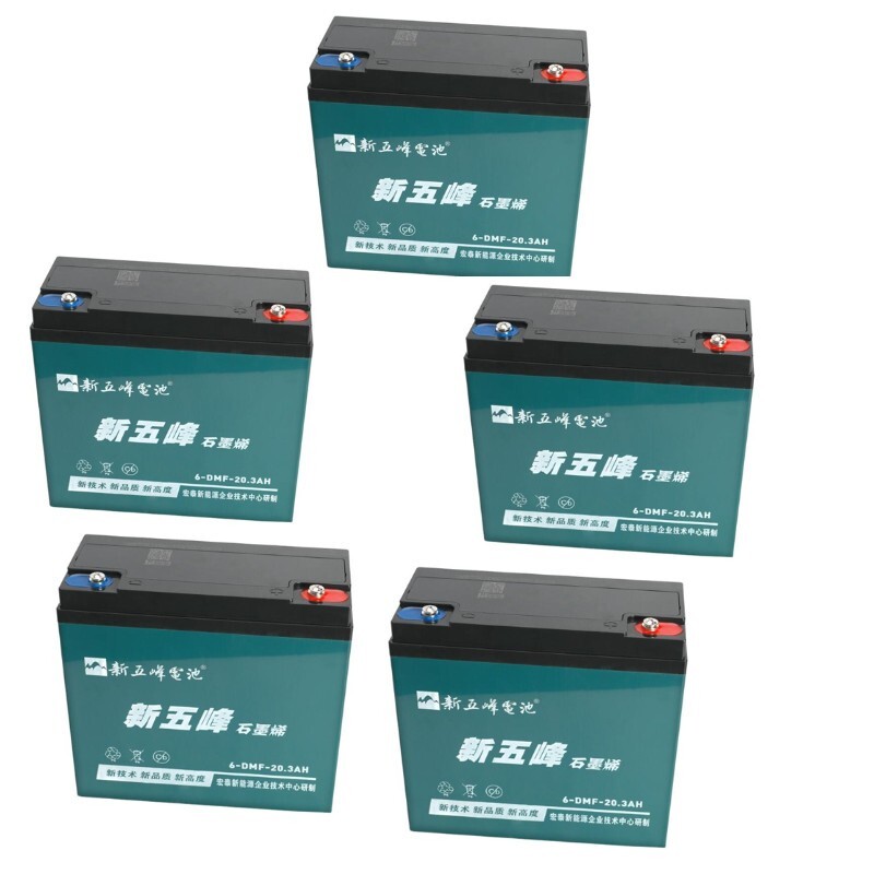 5x 12V 20Ah 6-DZM-20 Battery for 60V Go Kart ATV Scooter Wheelchair BIKE Golf