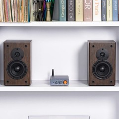 FOSI Audio BT20A PRO 300W X2 TPA3255 Bluetooth 5.0 Power amplifier Home Audio St
