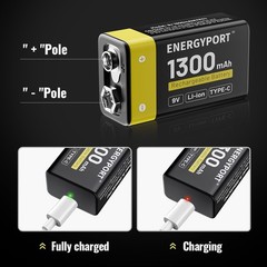 Lot 9V 9 Volt Li-ion USB Rechargeable Batteries 1300mAh Lithium Battery + Cable