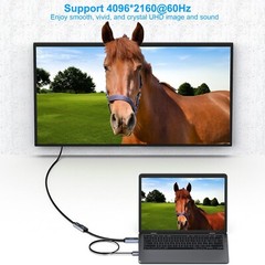 BENFEI HDMI to DisplayPort Adapter, HDMI Source to DisplayPort Monitor Compat…