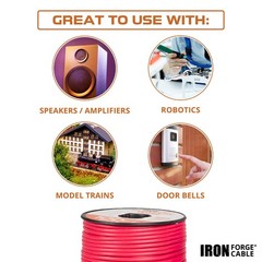 16 Gauge Primary Wire – 10 Roll Assortment Pack – 100 Ft of Copper Clad Aluminum