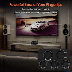 Douk Audio Bluetooth Tube Amp: 300W x2 TPA3255 2 Channel Stereo Power Amplifi…