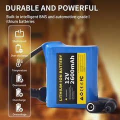 2600mAh DC 12V Portable Rechargeable Li-ion Battery Pack With Charger