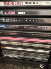 Hand Painted Hunt Scene CD Cabinet + 32 CDs (Mariah Carey, Santana,George Jones