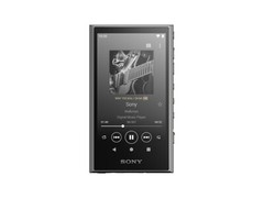 SONY Walkman NW-A306 NW-A307 A series memory type Black Blue Gray Music 2023