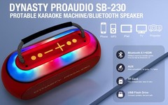 Dynasty ProAudio SB-230 Portable Bluetooth Speaker/Karaoke Machine