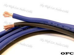 25′ feet OFC TRUE 8 Gauge AWG BL/BK Oxygen Free Speaker Wire Car Home Audio