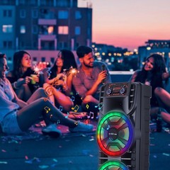 12” Dual Portable Bluetooth Speaker Subwoofer FM Heavy Bass Sound Karaoke W/Mic