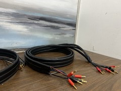 Linn K600 speaker cable – 6 Feet Long HiFi ( PAIR )