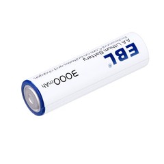 EBL AA Lithium Batteries 3000mAh Non-rechargeable Exp.2033 Lot