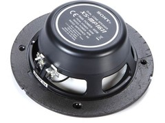 Sony XS-MP1611 6.5 in (16 cm) Dual-Cone Marine Speaker (Pair)