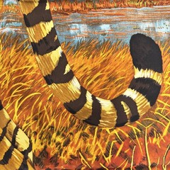Hermes Calle90 Scarf Bengal Tiger Orange 15541 90cm x 90cm Silk Orange Color Sca