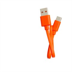 9 in TYPEC USBC Charger Cable For JBL Tune 215BT Endurance Race Wave 100 200 TWS