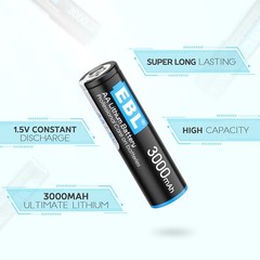 EBL AA Lithium 3000mAh AAA 1200mAh Batteries Non-rechargeable 1.5V + Case Lot
