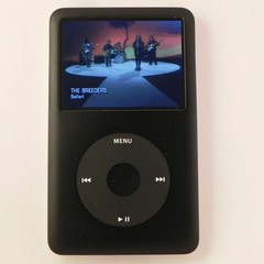Apple iPod Classic 5th, 6th, 7th Generation Tested All GB 30GB 80GB 120GB 160GB