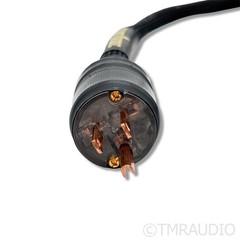 Triode Wire Labs Twelve Plus Power Cable; 4ft AC Cord