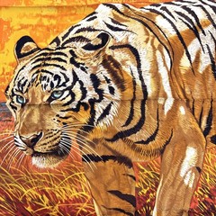 Hermes Calle90 Scarf Bengal Tiger Orange 15541 90cm x 90cm Silk Orange Color Sca
