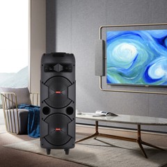 Loud Portable Bluetooth Speaker Dual Sub woofer Party Heavy Bass Sound System