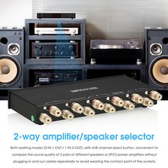 Compact 2 Zone Amplifier/Speaker Selector Stereo Audio Switcher Box with Remote