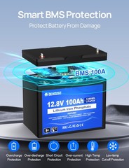 DC HOUSE 12V 100AH Lithium LiFePO4 Battery + BlueTooth + Low Temp Protection