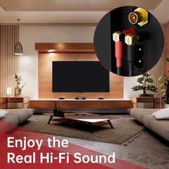 Bi-Wire Speaker Cable 6ft with Gold-Plated Banana Plugs for Home Audio