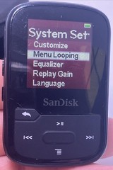 SanDisk Clip Sport Plus MP3 Player 32GB + Bluetooth +File storage – AM FM