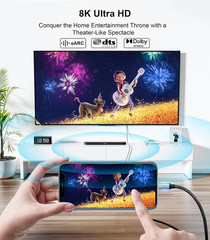 Reborn USB C to HDMI 2.1 Cable [8K@60Hz,4K@144Hz,2K@240Hz] 3FT Type C to HDMI 8K
