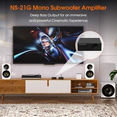 Subwoofer Amplifier Mini HiFi Mono Channel Amp for Bass Shaker Home Theater 100W