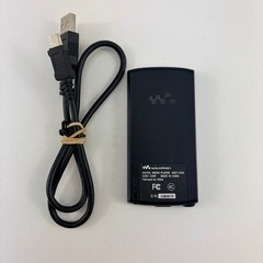 Sony Walkman NWZ-E385 Black (16 GB) Digital Media Player – Tested with Music