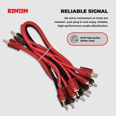 DS18 R2M12M Level 2 RCA 100% Copper OFC Y Connector 2 MALE to 12 MALE 1.5 FT