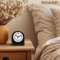 Small Battery Operated Analog Alarm Clock Silent No Ticking, Lighted on Deman…