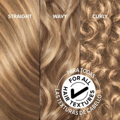 Garnier Olia Oil Powered Ammonia Free Highlights Kit H02 For Blondes 4 Level Lit