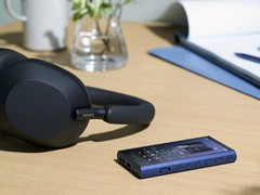SONY Walkman NW-A306 NW-A307 A series memory type Black Blue Gray Music 2023