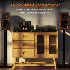 Douk Audio Hybrid Stereo Tube Integrated Amplifier with Bluetooth USB COAX OPT