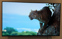 Sony XBR-55A8G BRAVIA 55″ 2160p (4K) UHD OLED Smart TV – Black *Few Dead Pixels