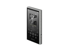 SONY Walkman NW-A306 NW-A307 A series memory type Black Blue Gray Music 2023