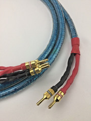 Vintage Rhapsody S Straight Wire Bi-Wire Speaker Cable 10 ft. Excellent