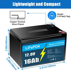 LiFePO4 Battery 12V 10Ah 30Ah 50Ah with BMS for RV Trolling Motor with Charger