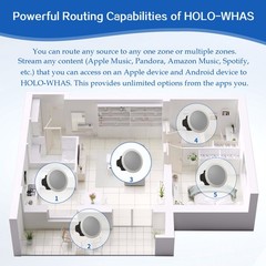HOLOWHAS 8 Zone 8 Stream Multi-Room Amplifier (60Wx16) | Whole Home Audio