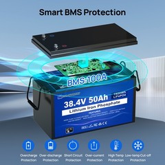 ECO-WORTHY 36V 50AH Lithium Golf Carts Lifepo4 Battery with 36V 25A Charge