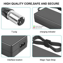 29.4V For 24V 2A Electric Battery Charger for Pride GoGo Elite Traveler