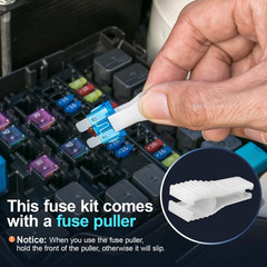 JOREST 300Pcs Car Fuse Assortment Kit, 160 Mini Blade Fuses Automotive + 90 Stan