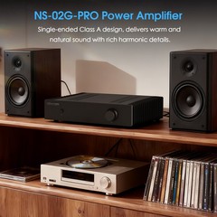 Single-Ended Class A Stereo Amplifier HIFI Integrated Amp for Speakers 42W x2