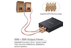 PROZOR PW073SAN Hi-Fi Power Amplifier Mini Stereo Audio Amplifier 50+50=100W NEW