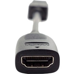 Visiontek Displayport/hdmi Video Adapter – Displayport Male Digital Audio/video