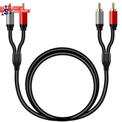 2RCA to 2RCA Cable 10Ft, Gold-Plated 2 RCA Male to 2 RCA Male Stereo Audio Cable