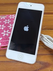 Apple iPod touch 5th Generation 32GB Silver Model A1421 w/ Cord PRISTINE!
