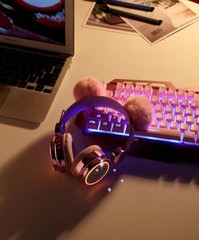 Color Changing Wireless Bluetooth Headphones for Kids, LED Light Up, 10 Hours Pl
