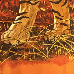 Hermes Calle90 Scarf Bengal Tiger Orange 15541 90cm x 90cm Silk Orange Color Sca