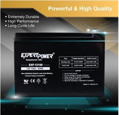 ExpertPower 12V 10AH SLA Replacement Battery for WP10-12SE, BP10-12T2 – 2 Pack